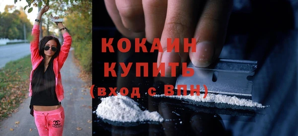винт Каменка