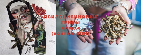 винт Каменка