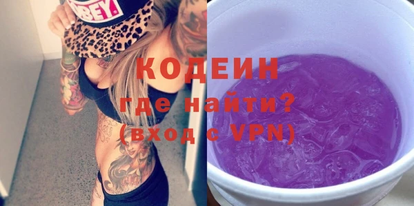 винт Каменка