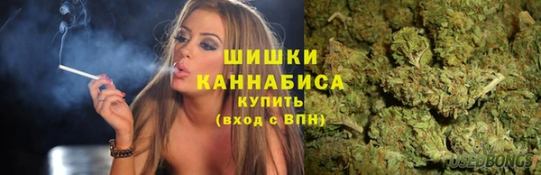 винт Каменка