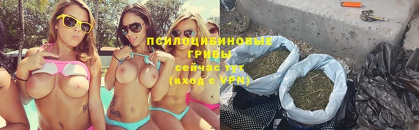 винт Каменка
