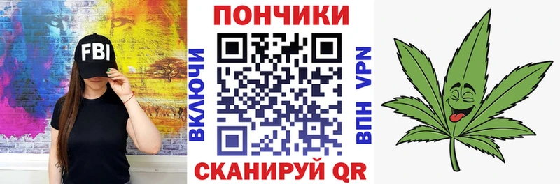 Купить закладки  Питкяранта  Шишки марихуана конопля 